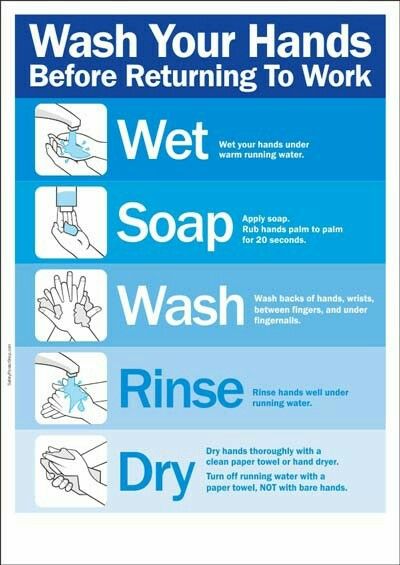 Kitchen Hygiene : Germs spread very easily between our hands and food so having a clean pair of hands before engaging in any food prep or cooking is essential. Washing your hands properly when touching raw meat, after going to the toilet and after using the bin can significantly help to reduce the spread of harmful bacteria such as E. coli and salmonella. Using anti-bacterial hand washes and wipes make a real difference in hand and kitchen hygiene. Food Safety Posters, Food Safety And Sanitation, Food Safety Training, Hygiene Activities, Hand Washing Poster, Kitchen Hygiene, Health And Safety Poster, Food Safety Tips, Safety Poster