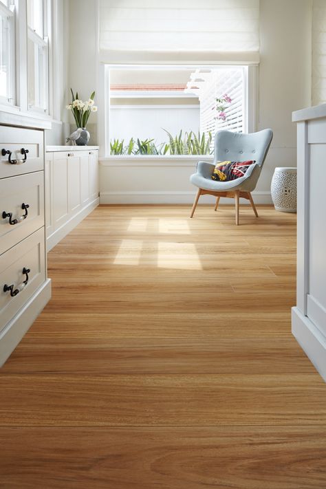 Oakleaf Blackbutt Flooring Blackbutt Floors, Hybrid Flooring, Timber Floors, Flooring Laminate, Port Stephens, Engineered Oak Flooring, Hunter Valley, Engineered Flooring, Bamboo Flooring