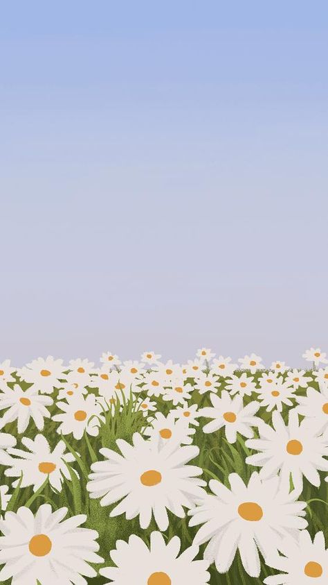 Daisy Flower Field, Daisy Flower Drawing, Sunset Iphone Wallpaper, Frühling Wallpaper, Wallpaper Minimal, Spring Illustration, Daisy Wallpaper, Spring Background, Minimal Wallpaper