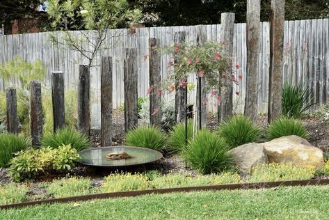 Tree Fern Garden Design, Wattle Retaining Wall, Indigenous Landscape Design, Native Front Garden, Australian Native Garden Landscaping Retaining Walls, Modern Australian Garden, Native Rain Garden, Bedroom Window View, Plants Combination