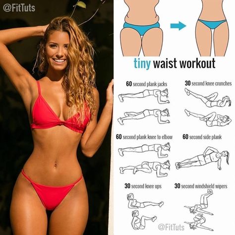 Corp Perfect, Motivasi Diet, Health And Fitness Expo, Fitness Facts, Summer Body Workouts, Trening Fitness, Health And Fitness Articles, Body Workout Plan, Fitness Articles