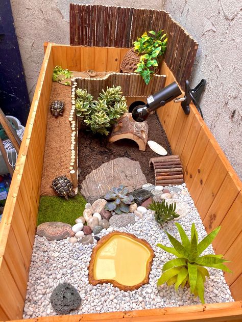 Tortoise Setup Ideas, Inside Tortoise Enclosure, Cute Tortoise Enclosure, Turtle Table Tortoise Habitat, Desert Tortoise Habitat Indoor, Turtle Incloser, Tortoise Enclosure Decor, Tortoise Home Ideas, Cool Tortoise Enclosure