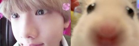 Jisung Nct Twitter Header, Park Jisung Twitter Header, 7dream Header, Nct Dream Twitter Header, Twitter Layouts Kpop, Nct Header Twitter, Nct Twitter Header, Nct Dream Header, Nct Header