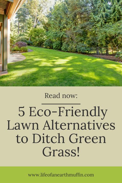 Ditch the Green Grass! 5 Unique Eco-Friendly Lawn Alternatives Eco Friendly Lawn, Eco Friendly Landscaping, Grass Alternative, Tiny Backyard, Permeable Pavers, Lawn Alternatives, Low Maintenance Landscaping, Front Lawn, Drought Tolerant Plants