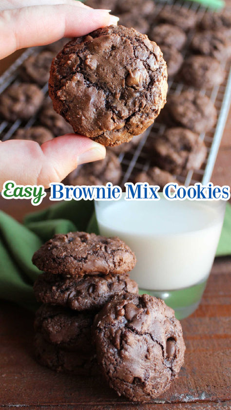 You can make rich fudgy cookies in no time at all with this easy brownie mix cookie recipe. They take just 6 simple ingredients to make. The cookies are bursting with chocolate flavor and have a nice crackle on the exterior with a chewy fudge-like center. Boxed Brownie Cookies Recipes, Cookies Made With Brownie Mix Boxes, Fudge Brownie Mix Cookies, Cake Mix Brownie Cookies, Boxed Brownie Cookies, Brownie Cookies From Mix Boxes Betty Crocker, Ghirardelli Brownie Mix Cookies, Brownie Mix Cookies Recipes, Cookies Made With Brownie Mix Simple