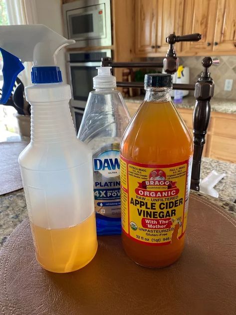 Best Homemade Bug Repellent Recipe | Hometalk Bug Deterrent, Homemade Bug Repellent, Potato Box, How To Get Rid Of Gnats, Dawn Dish Soap, Best Shakes, Banana Peel, Fruit Flies, Bug Repellent