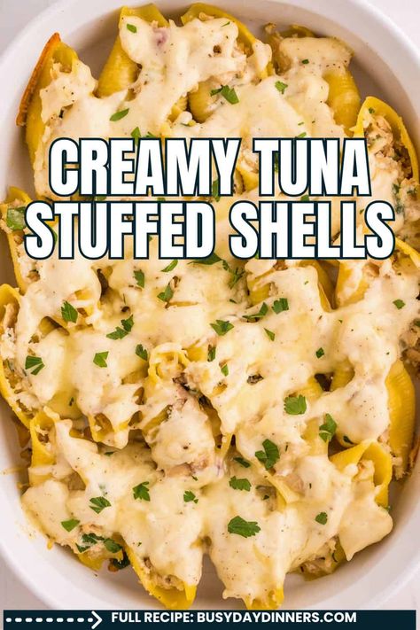 Tuna Stuffed Pasta Shells Recipe | Busy Day Dinners Tuna Stuffed Shells, Quick Creamy Pasta, Stuffed Shells Recipes, Stuffed Pasta Shells Recipe, Pasta Shells Recipe, Jumbo Shells, Shell Pasta Recipes, Jumbo Pasta Shells, Stuffed Pasta