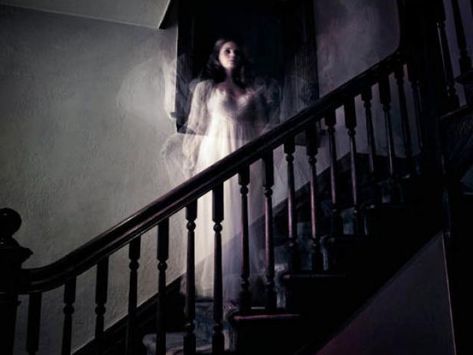 Leave the lights on when you read these bone-chilling stories of average people encountering the paranormal. Scary Ghost Stories, Assata Shakur, Alien Sightings, Ghost Sightings, Paranormal Stories, Ghost Videos, White Figures, Witch Books, Paranormal Activity