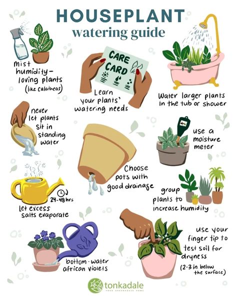 Infographics - Tonkadale Safe House Plants, Build A Terrarium, Potatoes And Onions, Planting Potatoes, Hydrangea Care, Plant Care Houseplant, Insect Pest, Inside Plants, Plant Guide