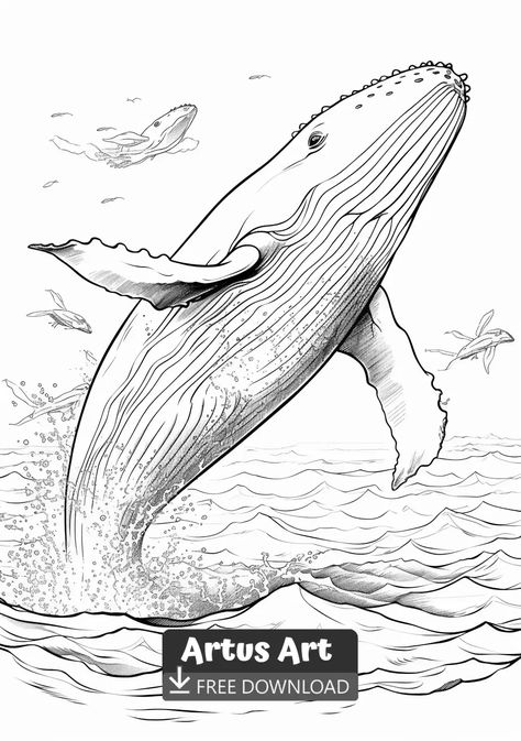 Humpback Whale Coloring Page - Free PDF Download Coloring Page. Ignite your imagination with our collection of mesmerizing Humpback Whale coloring pages. Dive into a world of endless possibilities and let your creativity run wild. #freedownload #humpbackwhalecoloringpage #humpbackwhale Whale Coloring, Zoo Animal Coloring Pages, Whale Coloring Pages, Kittens Coloring, Free Coloring Pages For Kids, Big Whale, Dolphin Coloring Pages, Farm Animal Coloring Pages, Kids Animals