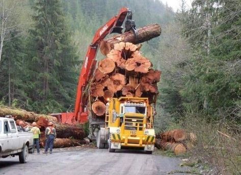 Portable Saw Mill, Crane Construction, Logging Industry, Big Timber, Merc Benz, Big Tractors, Logging Equipment, Forestry Equipment, Tree Felling