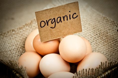 Forks Over Knives | Will Switching to Organic Meat, Dairy and Eggs Save Your Health? Benefits Of Organic Food, Egg Replacement, Organic Meat, Organic Eggs, Eating Eggs, Organic Chicken, Theme Color, Eat Real Food, Fresh Eggs