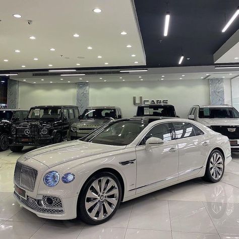 White Bentley, Cars Rolls Royce, Phantom Car, Rolls Royce Car, Roll Royce, Luxury Wallpapers, Royce Car, Rolls Royce Motor Cars, Bentley Flying Spur