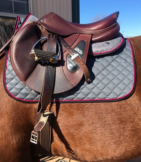 Cwd Saddle, Jumping Saddle, Horse Fashion, English Saddle, Equestrian Helmet, Horse Equipment, Equestrian Boots, Horse Accessories, Horse Aesthetic