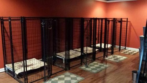 30+ Best Indoor Dog Kennel Ideas - The Paws Dog Kennel Ideas, Dog Boarding Kennels, Indoor Dog Kennel, Dog Kennel Designs, Dog Bedroom, Kennel Ideas, Dog Kennel Cover, Kennel Cover, Diy Dog Kennel