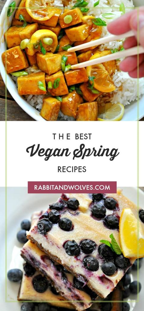 The Best Vegan Spring Recipes - Rabbit and Wolves Vegan Spring Recipes, Spring Onion Soup, Spring Recipes Vegetarian, Vegan Key Lime Pie, Rabbit And Wolves, Vegan Key Lime, Healthy Spring Recipes, Spring Recipes Dinner, Spring Recipes Dessert