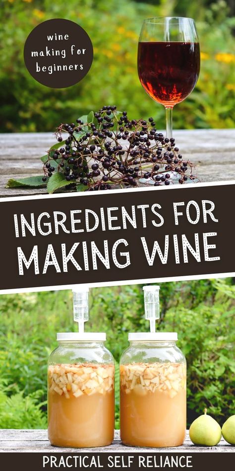 Small Batch Wine Making, How To Make Apple Wine, How To Make Wine At Home, Make Wine At Home, Fruit Wine Recipes, Making Wine From Grapes, Mead Making, Fig Wine, Making Wine At Home