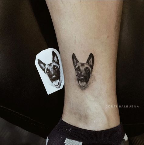 Belgian Malinois Tattoo, Shepherd Dog Tattoo, Malinois Tattoo, Whiplash Tattoo, Pet Portrait Tattoos, Dog Portrait Tattoo, Baby Tattoo Designs, Portrait Tattoos, Floral Tattoo Sleeve