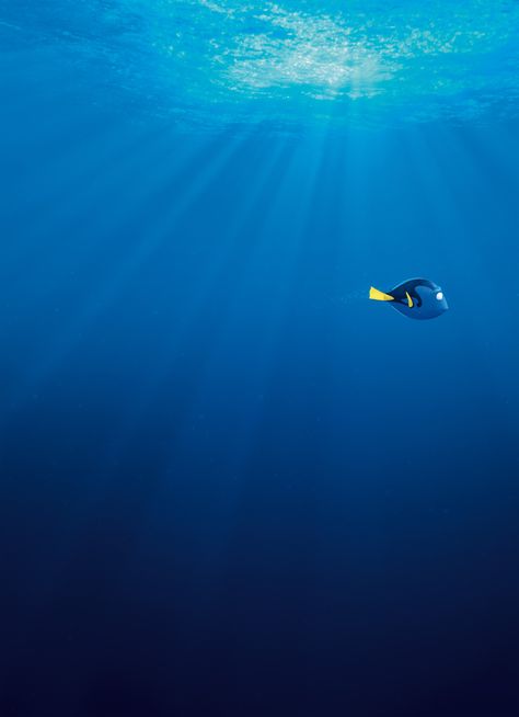 3840x5304 finding dory 4k best wallpaper for desktop background Nemo Wallpaper, Desktop Wallpaper Quotes, Laptop Wallpaper Desktop Wallpapers, Artistic Wallpaper, Computer Wallpaper Desktop Wallpapers, Wallpaper Disney, Disney Phone Wallpaper, Wallpaper Iphone Disney, Finding Dory