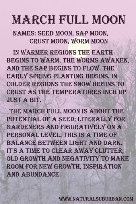 Moon:  #Full #Moon ~ March. March Full Moon, Worm Moon, Full Moon Names, Moon Meaning, Moon Names, Moon Magick, You Are My Moon, Moon Rituals, Spring Equinox