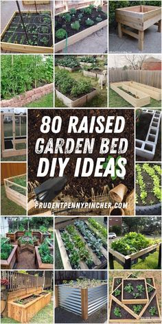 Bed Diy Ideas, Raised Garden Bed Diy, Garden Bed Diy, Easy Garden Beds, Making Raised Garden Beds, Wood Garden Beds, Backyard Raised Garden, Raised Garden Bed Ideas, Garden Bed Ideas