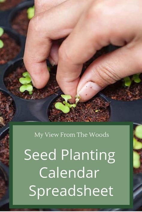 Aerogarden Seed Starting, Seed Planting Calendar, Seed Planting, Seed Starter Kit, Red Worms, Planting Calendar, Growing Microgreens, Seed Starter, Planting Vegetables