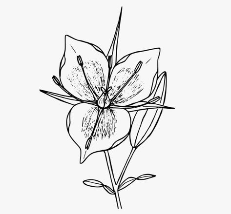 Cuban Tattoos, Wallpaper Plant, Small Girly Tattoos, Petite Tattoos, Stylist Tattoos, Karl Urban, Spine Tattoo, Girly Tattoos, Plant Illustration