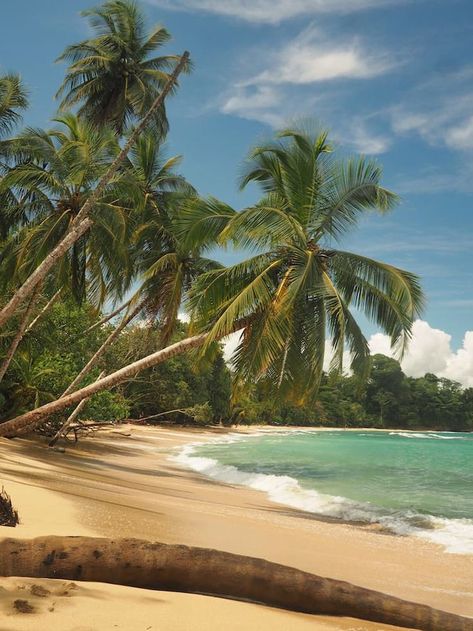 Playa Punta Uva, Costa Rica Solo Trips For Women, Most Beautiful Nature, Solo Trips, Costa Rica Beaches, Costa Rica Vacation, Central America Travel, Letter X, Luxury Resorts, Caribbean Vacations