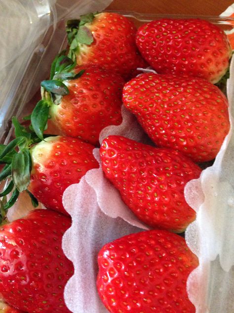 Sweet Korean strawberry Korean Strawberry, East Asia, North East, Good Food, Fruit, Drinks, Quick Saves