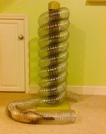 DIY Ferret Tunnel Tower - PetDIYs.com Ferret Furniture, Ferret Tunnel, Ferret Diy, Rattus Rattus, Ferret Toys, Ferrets Care, Funny Ferrets, Ferret Cage, Rat Toys