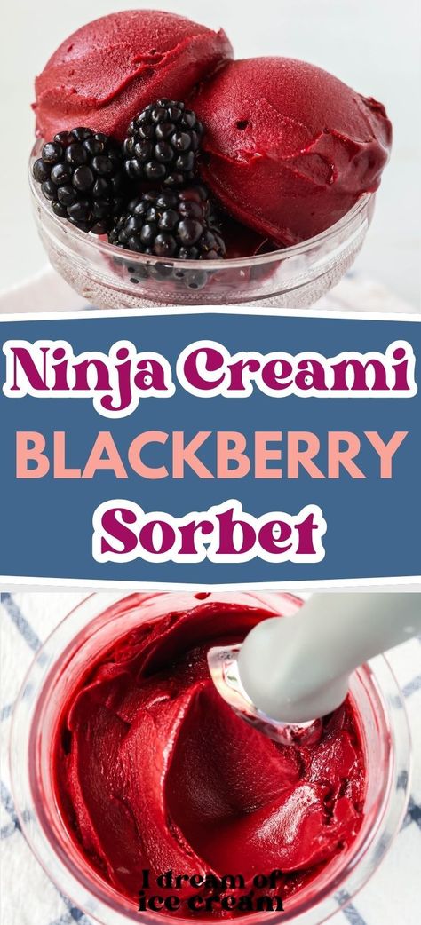 It's super simple to make Ninja Creami blackberry sorbet! The result is sweet and delicious and full of flavor! Blackberry Sorbet Ninja Creami, Ninja Creami Sorbet Recipes Healthy, Ninja Creami Blackberry Ice Cream, Ninja Creami Blackberry Ice Cream Recipes, Blackberry Ninja Creami, Ninja Sorbet Recipes, Ninja Creami Recipes Breakfast, Ninja Creami Fruit Recipes, Ninja Creami Recipes Sorbet