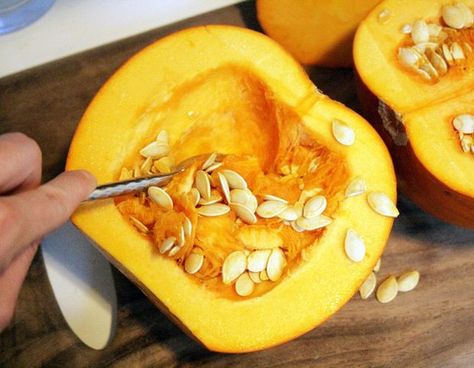 Pumpkin Seeds Benefits, Best Pumpkin Bread Recipe, Healthy Pumpkin Bread, Pumpkin Bread Easy, Cooking Pumpkin, Homemade Pumpkin Puree, Roasted Pumpkin Seeds, How To Make Pumpkin, Pumpkin Butter