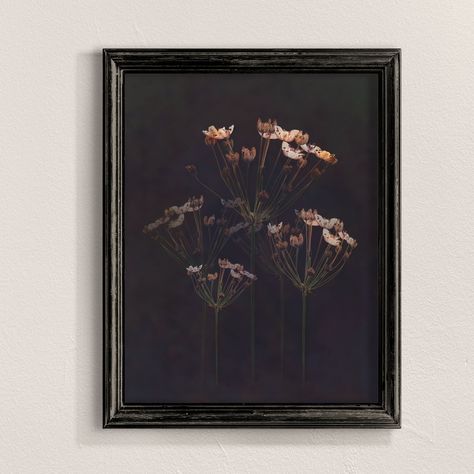 Black Background Artwork, Dark Background Painting, Dark Floral Painting, Dark Floral Decor, Moody Paintings, Moody Prints, Art Black Background, Black Background Art, Modern Botanical Art