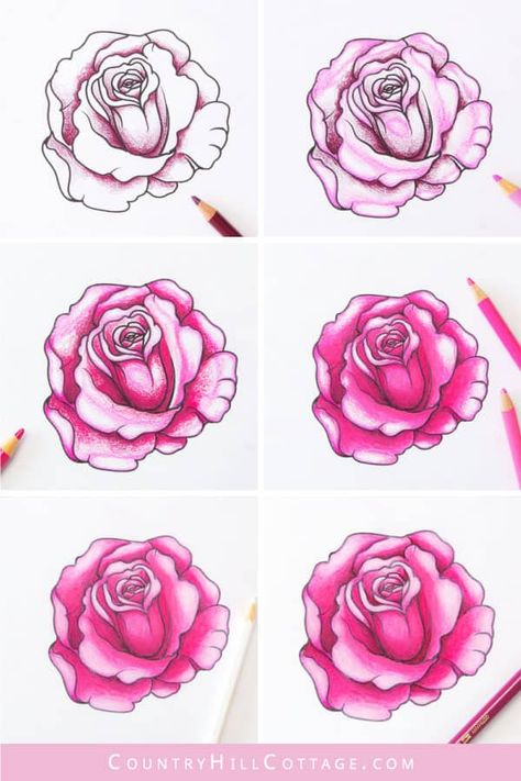 Coloring Roses With Colored Pencils, Rose Colored Pencil Drawing, Rose Drawing Colored Pencil, How To Shade Flowers Drawing, Colored Pencil Techniques Step By Step, Colouring Flowers With Pencils, How To Color Flowers, Rose Coloring Pages Free Printable, Flower Drawing Design Colour