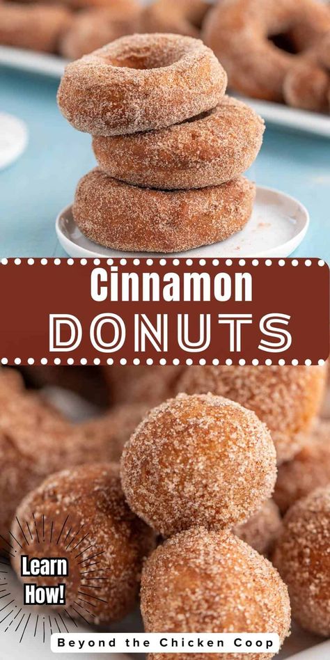 Delicious cake donuts rolled in cinnamon and sugar. Perfect for breakfast, brunch or an after school snack. Cinnamon Sugar Cake, Sugar Donuts Recipe, Baked Doughnut Recipes, Cake Doughnuts, Doughnut Recipe Easy, Easy Donut Recipe, Homemade Donuts Recipe, Cinnamon Donuts, Baked Donut Recipes