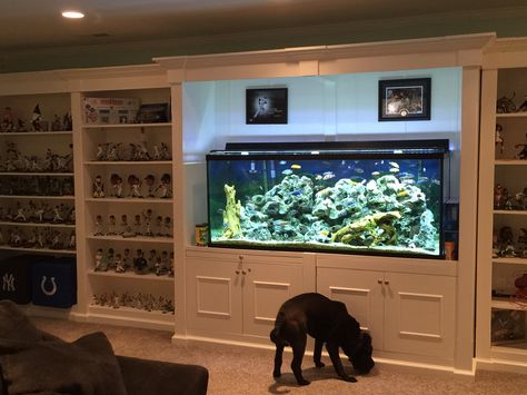 Basement sports shelf unit with fish tank in the middle Fish Tank Built In Bookcase, Entertainment Center With Fish Tank, Built In Fish Tank, Aquarium Shelf, Fish Room, Man Cave Items, Decorate Ideas, Big Aquarium, Gaming Ideas