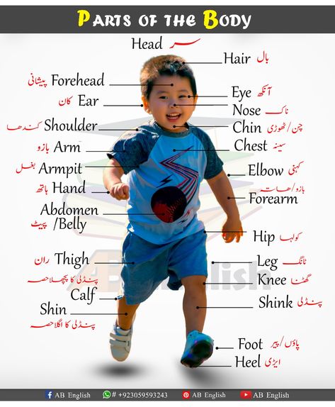 Learn all external parts of the body in English with urdu Body In English, Parts Of Body Name, Body Parts Name, Basic English Vocabulary, Urdu Stories For Kids, Human Body Vocabulary, Body Parts For Kids, Body Name, Parts Of Body