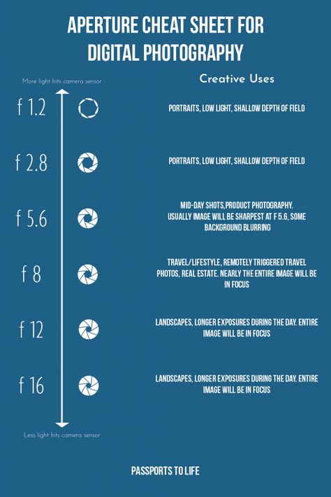 what is f stop, what is aperture in photography, how does f stop work, photography aperture cheat sheet, understanding exposure in photography, photography tutorials, how to use manual mode, basic photography tips Photography Manual Mode, What Is Aperture In Photography, How To Get A Blurry Background In Photos, Camera Manual Mode Cheat Sheet, F Stop Cheat Sheet, Aperture In Photography, F Stop Photography, Basic Photography Tips, Cannon Camera Settings Cheat Sheets