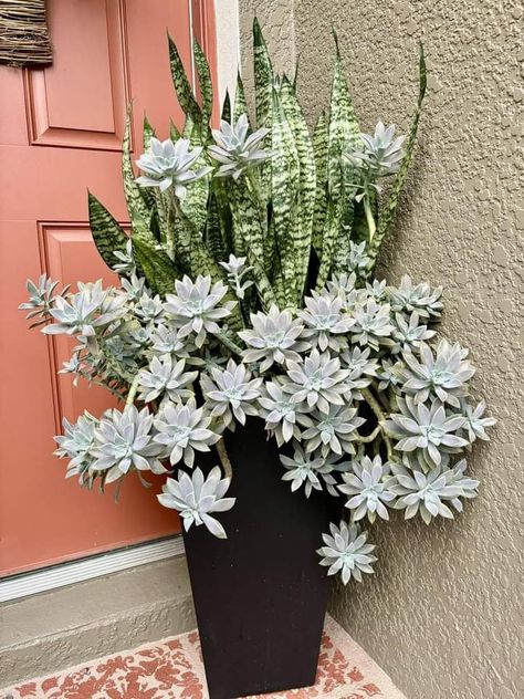 Succulent Landscape Design, Container Garden Design, Succulent Garden Design, Potted Plants Outdoor, Succulent Garden Diy, Container Gardening Flowers, Dekor Diy, Garden Decor Projects, Succulent Gardening