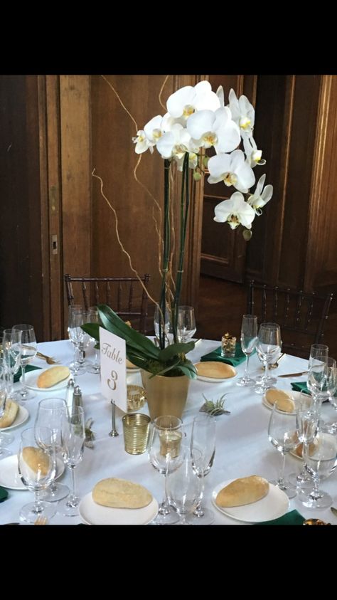 Potted Orchid Centerpiece, Orchid Wedding Centerpieces, Orchid Centerpieces Wedding, Orchid Ideas, Non Floral Centerpieces, Plant Centerpieces, Succulent Centerpiece, Orchid Centerpieces, Succulent Centerpieces