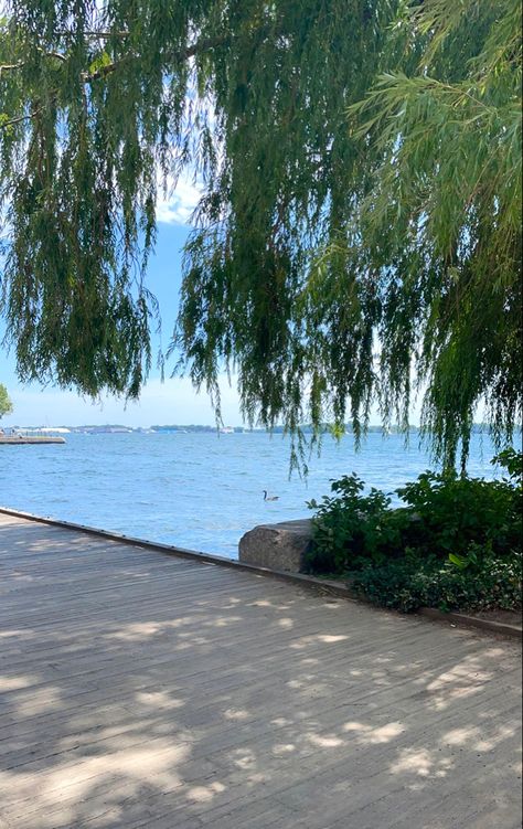 #summer #toronto #summertoronto #ontario #summeraesthetic #waterfront #torontowaterfront Toronto Aesthetic Summer, Toronto Summer Aesthetic, Waterfront Aesthetic, Ontario Aesthetic, Singer Life, Toronto Aesthetic, Ontario Summer, Toronto Summer, Tobermory Ontario