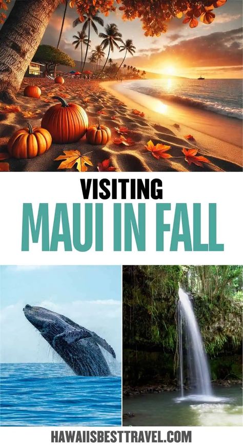 Discover the beauty of Maui in fall, where golden sunsets and cooler breezes make every moment magical. 🍁 Whether you're exploring the lush landscapes or enjoying the serene beaches, fall is the perfect time to travel to Hawaii. Dive into our guide for must-see spots and insider tips to make your Maui in fall adventure unforgettable. 🌺 Ready to explore? Start planning your trip today! Packing For Maui In October, Best Beaches In Maui, Things To Do In Maui, Maui Activities, Hawaii Things To Do, Haleakala National Park, Hawaii Food, Fall Getaways, Scenic Road Trip