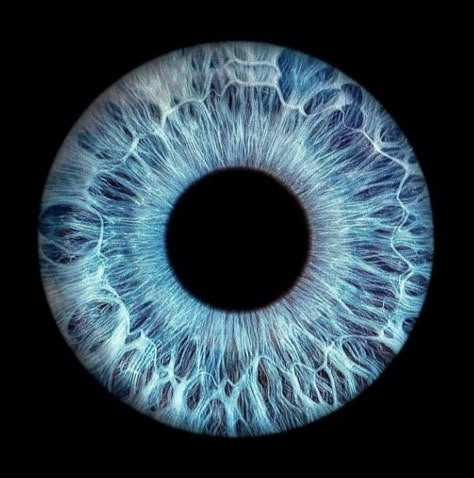 Blue Eye Background, Blue Iris Eye, Eyes Iris, Red Party Themes, Blue Eyes Aesthetic, Iris Eye, Very Funny Texts, Dark Blue Eyes, Eye Texture