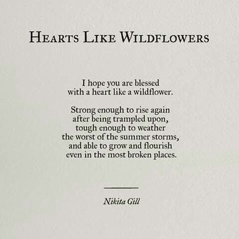 heart like wildflowers poem nikita Gill Flower Thoughts, Wild Flower Quotes, Nikita Gill, Tattoo Girl, Girl Flower, Flower Quotes, A Poem, Poem Quotes, Quotes About Strength