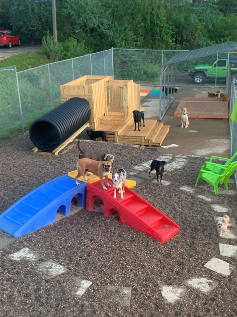 Small Dog Park Ideas, Home Boarding For Dogs, Dog Area In Backyard, At Home Dog Daycare, Outdoor Dog Playground, Dog Daycare Activities, Dog Playground Backyard Diy, Dog Playground Ideas, Backyard Dog Playground