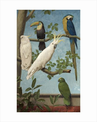 Gallery Museum, Parrots Art, Scientific Illustration, Art Uk, Oil Painting Reproductions, A4 Poster, Exotic Birds, Birdwatching, Painting Reproductions