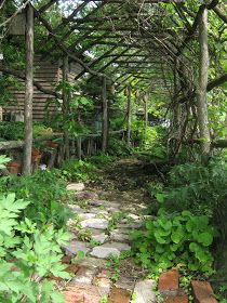 Branch Pergola Diy, Natural Pergola, Arbor Walkway, Branch Building, Garden Arbor Ideas, Orange Sink, Rustic Arbor, Garden Archway, Rustic Pergola