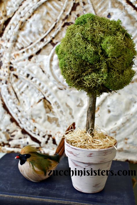 Make these easy Mini Moss Topiary Trees with supplies from Dollar Tree.  You'll also need a hot glue gun and some white craft paint.  They're perfect for Farmhouse Decor or Wedding Reception Decor! #zucchinisisters #farmhousedecor #diycrafts #dollartree #mosstopiary #weddingideas Dry Floral Foam, Topiary Diy, Diy Moss, Cedar Hill Farmhouse, Twig Tree, Clay Flower Pots, Topiary Trees, Floral Foam, Summer Projects