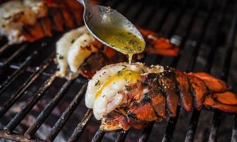 Grilled Lobster Tails | Traeger Grills Grilled Lobster Recipes, Cooking Frozen Lobster Tails, Traeger Cooking, Traeger Smoker, Grilled Lobster Tail, Traeger Grill Recipes, Frozen Lobster, Lobster Recipes Tail, How To Cook Liver