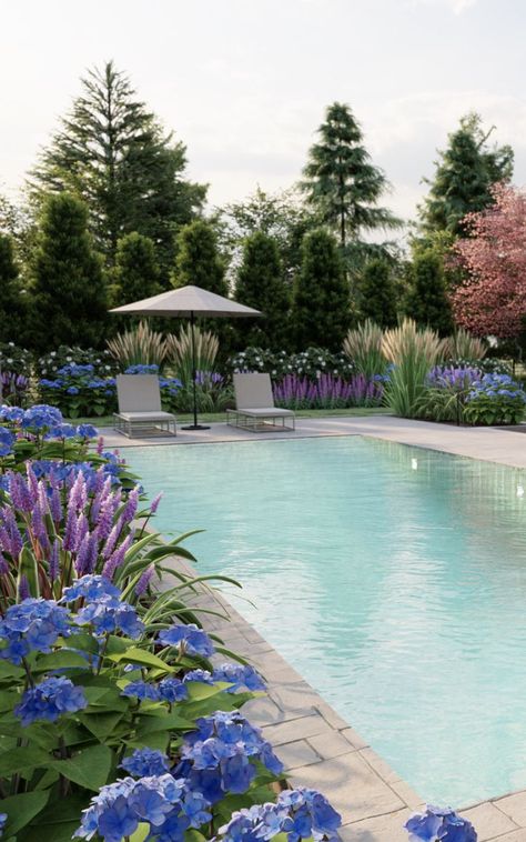 Explore custom yards created by talented online landscape designers. Pool Design Modern, Best Plants For Bedroom, Online Landscape Design, Hydrangea Landscaping, Natural Swimming Ponds, Panicle Hydrangea, Swimming Pool Tiles, Potted Plants Outdoor, Pool Landscape Design